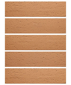 2022.5.16_10.11.4_5915