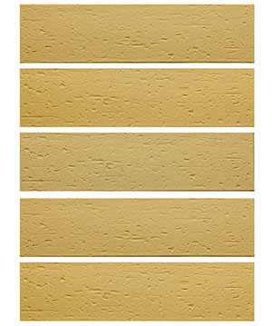 2022.5.16_10.13.36_9960