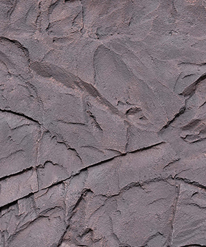 2024.10.22_13.51.52_1698