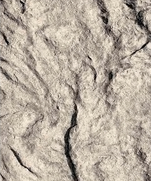 2025.4.12_17.53.35_1083