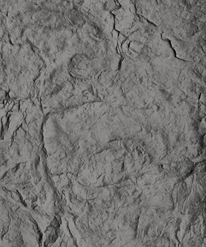 2025.4.14_17.9.4_5599